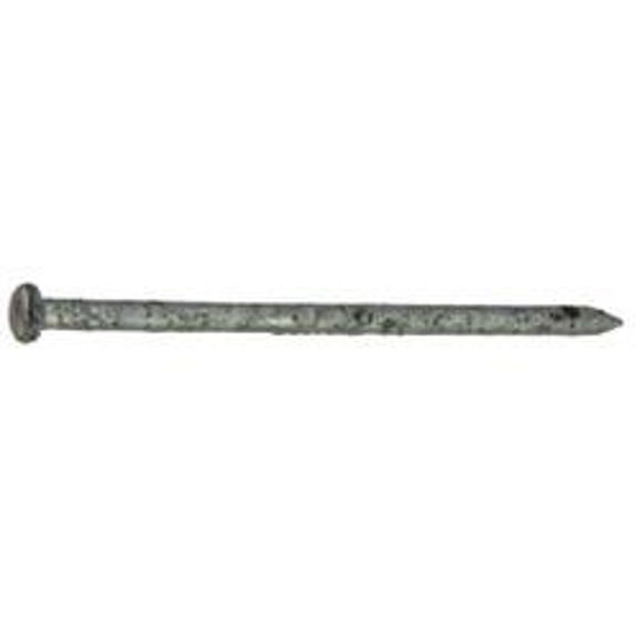 Picture of CLOUT NAILS - GALV - 40 x 2.36mm