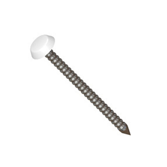 Picture of PLASTIC HEAD PINS - FLAT HD - WHITE - 30mm