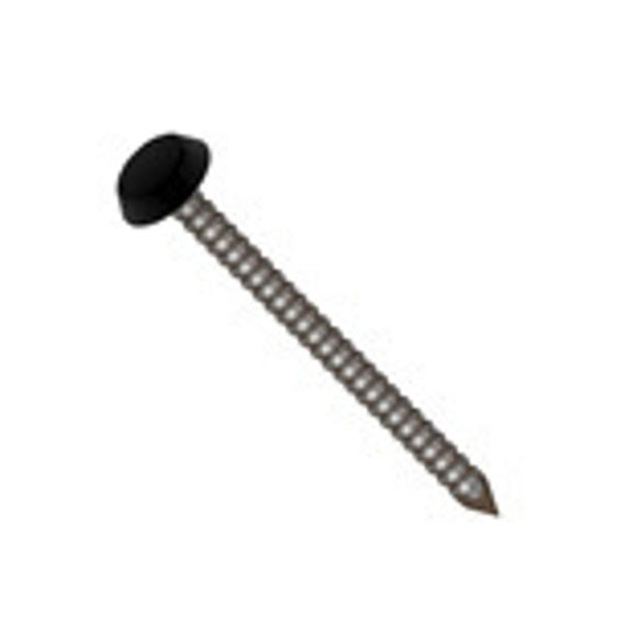 Picture of PLASTIC HEAD PINS - FLAT HD - BLACK - 40mm