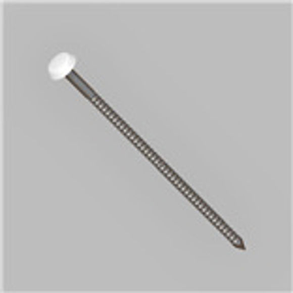 Picture of PLASTIC HEAD NAILS - WHITE - 40mm