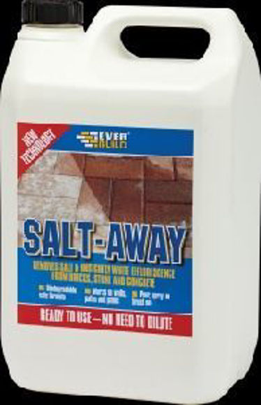 Picture of EVERBUILD SALT-AWAY  -  1-Litre