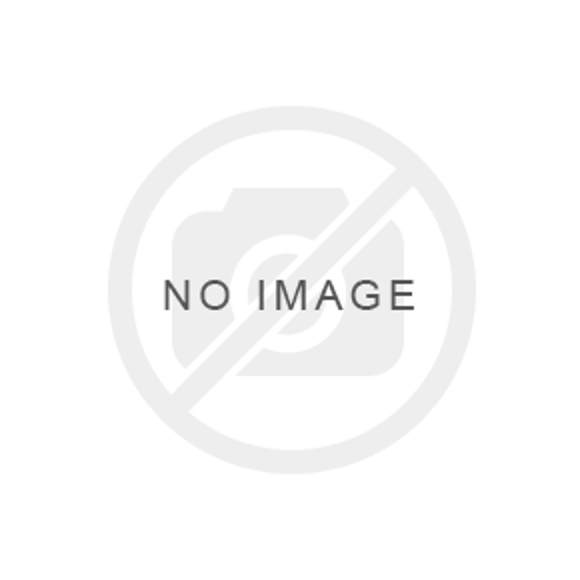 Picture of CONCRETE NAILS P390 - COLLATED - SC9-75C - 055621